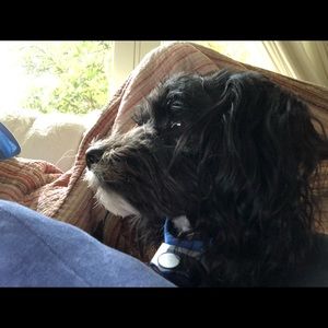 Meet your Posher, Mike